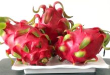 Ragam Manfaat Buah Naga, Salah satunya Cegah Penuaan Dini