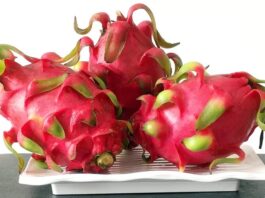 Ragam Manfaat Buah Naga, Salah satunya Cegah Penuaan Dini