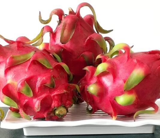 Ragam Manfaat Buah Naga, Salah satunya Cegah Penuaan Dini