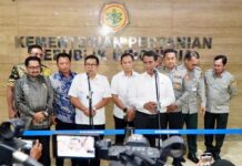 Targetkan Swasembada Pangan 2025, Pemerintah Tetapkan Harga Pembelian Gabah Rp6.500 per Kg