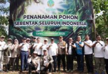 Penananaman Pohon Serentak, Yasir Machmud : Wujud Kepedulian Kita terhadap Lingkungan