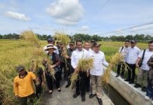 Komisi IV-DPR RI Apresiasi Kementan soal Pemberian Bantuan ke Petani