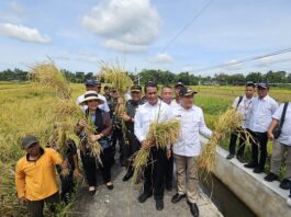 Komisi IV-DPR RI Apresiasi Kementan soal Pemberian Bantuan ke Petani