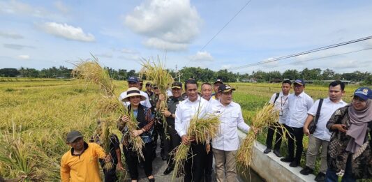 Komisi IV-DPR RI Apresiasi Kementan soal Pemberian Bantuan ke Petani