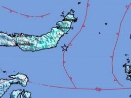 Gempa berkekuatan M6,0 Guncang Boltim Sulawesi Utara, tidak Berpotensi Tsunami
