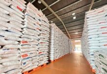 Produksi Beras meningkat, Kementan RI Pastikan Ketahanan Pangan Terjaga