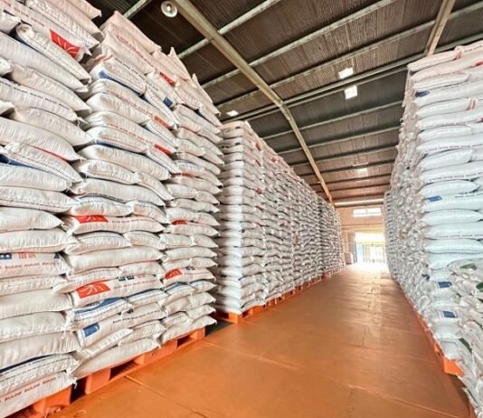 Produksi Beras meningkat, Kementan RI Pastikan Ketahanan Pangan Terjaga