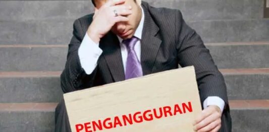 Soroti Tingginya Angka Pengangguran, Komisi IX DPR RI Dorong Inovasi Penyerapan Tenaga Kerja Mandiri