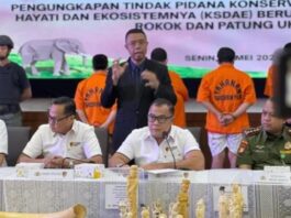 Ungkap Penyelundupan Satwa, Bareskrim Polri tegaskan Larangan Jual-Beli Satwa Dilindungi