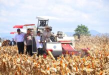 Menteri PPN/Kepala Bappenas Optimistis Pertanian Bangkit Lebih Kuat