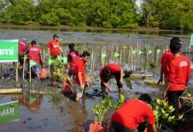 Melalui Program Telkomsel Jaga Bumi, Telkomsel dan AKADS Tanam 1000 Bibit Mangrove di Pesisir Pantai Pangkajene