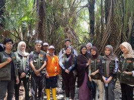 Revitalisasi Agroindustri Sagu di Waelawi Tim PM–BEM UMI Dorong Petani dan Ibu Rumah Tangga Masuk Ekonomi Digital