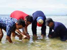 Telkomsel dan Pelanggan Hadirkan Rumah Kultivasi Lamun di Desa Maharayya, Selayar
