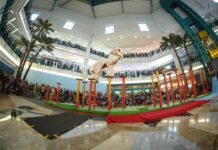 Dari Tonggak hingga Parade, Barongsai Ramaikan Perayaan Imlek di Mal Ratu Indah dan NIPAH PARK