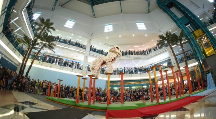 Dari Tonggak hingga Parade, Barongsai Ramaikan Perayaan Imlek di Mal Ratu Indah dan NIPAH PARK