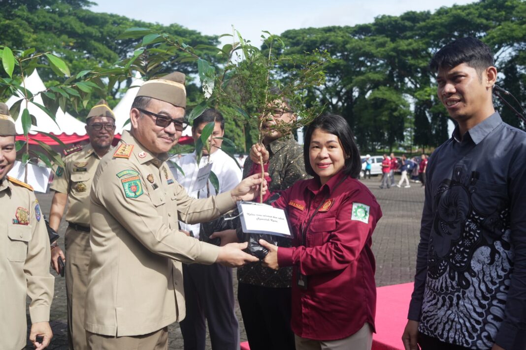 WhatsApp Image 2026-02-12 at 17.41.42