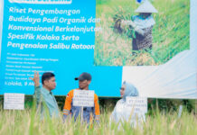 Dukung Asta Cita Presiden dan SDGs Ketahanan Pangan, PT Vale Panen Bersama Demplot Padi Berkelanjutan di Kolaka