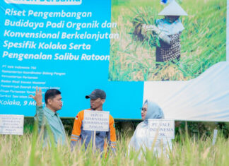 Dukung Asta Cita Presiden dan SDGs Ketahanan Pangan, PT Vale Panen Bersama Demplot Padi Berkelanjutan di Kolaka