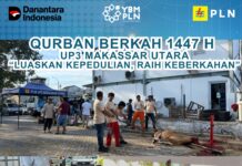 YBM PLN UP3 Makassar Utara Salurkan Hewan Kurban pada Iduladha 1447 H