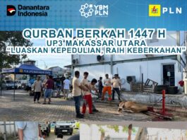 YBM PLN UP3 Makassar Utara Salurkan Hewan Kurban pada Iduladha 1447 H