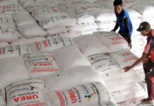 Pupuk Indonesia Bekukan Penyaluran Pupuk Bersubsidi Pengecer Bermasalah di Bone