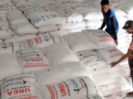 Pupuk Indonesia Bekukan Penyaluran Pupuk Bersubsidi Pengecer Bermasalah di Bone