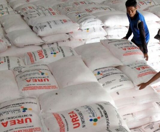 Pupuk Indonesia Bekukan Penyaluran Pupuk Bersubsidi Pengecer Bermasalah di Bone