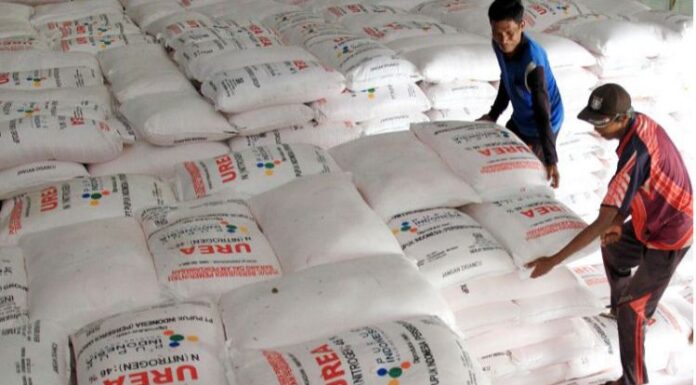 Pupuk Indonesia Bekukan Penyaluran Pupuk Bersubsidi Pengecer Bermasalah di Bone