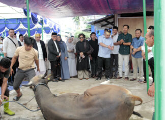 Dirut Pelindo Hadiri Penyerahan Kurban Regional 4