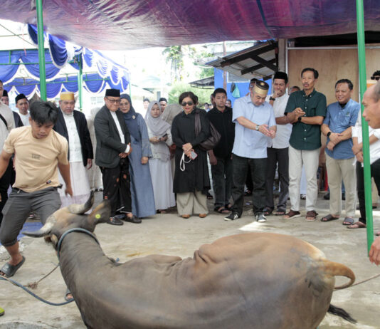 Dirut Pelindo Hadiri Penyerahan Kurban Regional 4