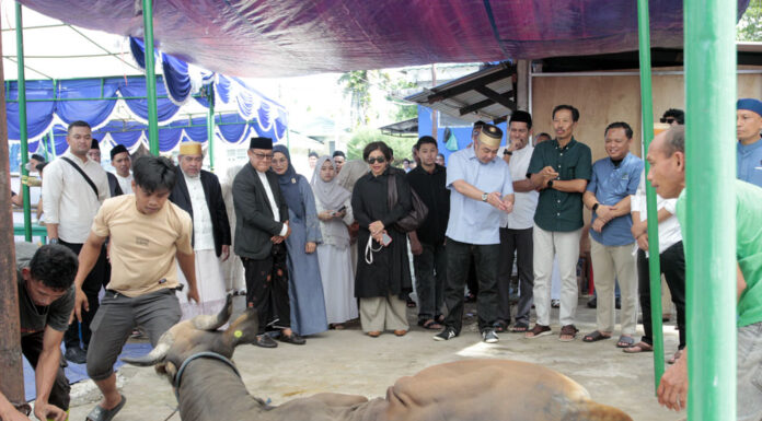 Dirut Pelindo Hadiri Penyerahan Kurban Regional 4