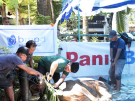 Panin Bank, Perbanas, dan BMPD Bersinergi Salurkan Hewan Kurban untuk Masyarakat