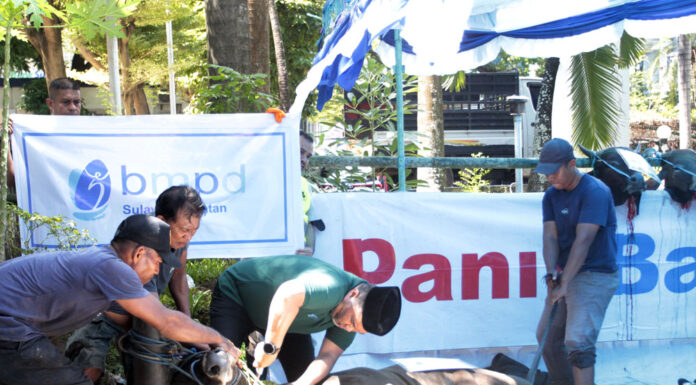 Panin Bank, Perbanas, dan BMPD Bersinergi Salurkan Hewan Kurban untuk Masyarakat