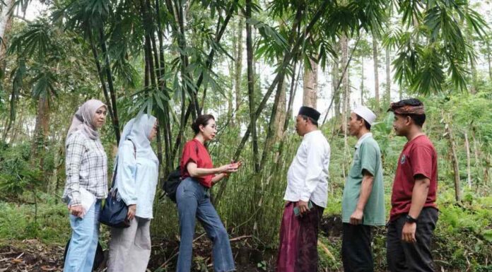 CIMB Niaga Perkuat Konservasi Bambu dan Eko-Eduwisata di Lombok Tengah