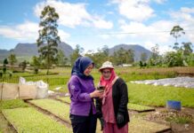 Investasi Bukan Lagi Soal Cepat Untung, Amartha dan CFP Ajak Masyarakat Lebih Bijak