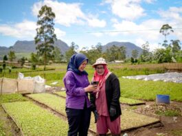 Investasi Bukan Lagi Soal Cepat Untung, Amartha dan CFP Ajak Masyarakat Lebih Bijak