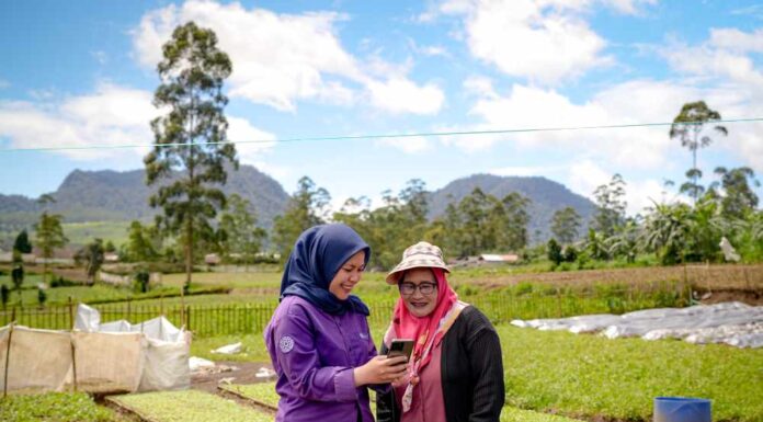 Investasi Bukan Lagi Soal Cepat Untung, Amartha dan CFP Ajak Masyarakat Lebih Bijak