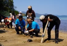 Merawat Pesisir, Menjaga Masa Depan: Kolaborasi PT Vale Kuatkan Ketahanan Ekosistem Luwu Timur