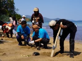 Merawat Pesisir, Menjaga Masa Depan: Kolaborasi PT Vale Kuatkan Ketahanan Ekosistem Luwu Timur