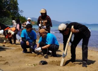 Merawat Pesisir, Menjaga Masa Depan: Kolaborasi PT Vale Kuatkan Ketahanan Ekosistem Luwu Timur