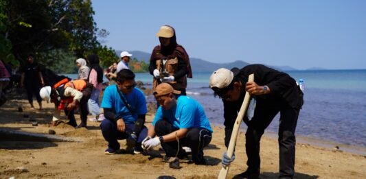 Merawat Pesisir, Menjaga Masa Depan: Kolaborasi PT Vale Kuatkan Ketahanan Ekosistem Luwu Timur