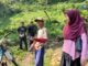Petani Kopi Trawas Hadapi Risiko Perubahan Iklim