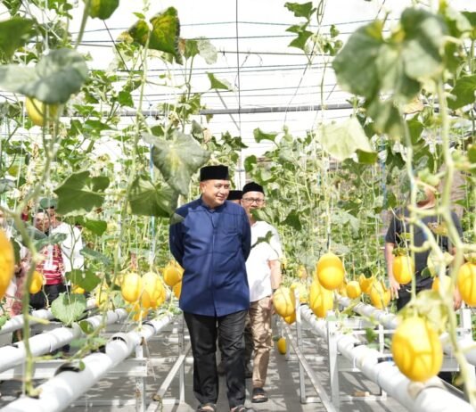 Appi Ingin Urban Farming Masjid Bin Baz Jadi Model Ketahanan Pangan Perkotaan
