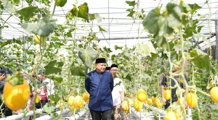 Appi Ingin Urban Farming Masjid Bin Baz Jadi Model Ketahanan Pangan Perkotaan