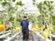 Appi Ingin Urban Farming Masjid Bin Baz Jadi Model Ketahanan Pangan Perkotaan